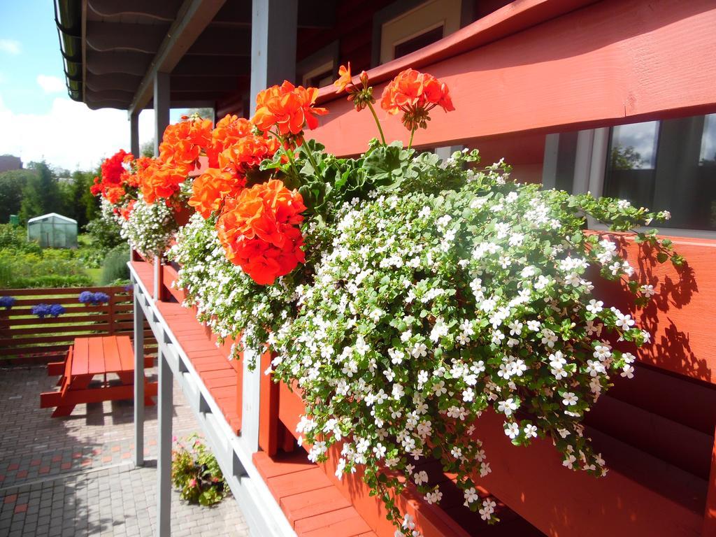 Zalie Abolisi Hotel Ventspils Kültér fotó